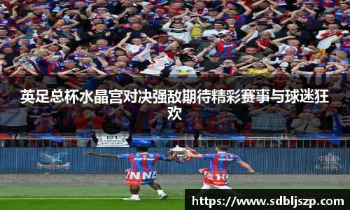 英足总杯水晶宫对决强敌期待精彩赛事与球迷狂欢